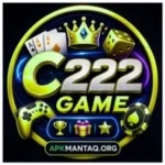 C222 Game Download