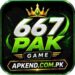 667PAK APK