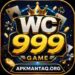 WC999 Game apk
